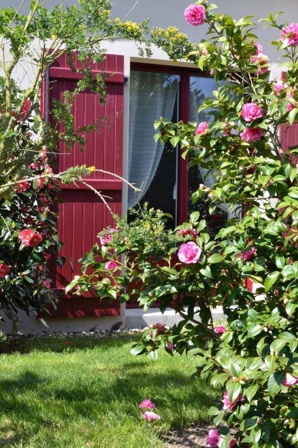 Le Tertre Gatinais Panzió Saint-Briac-sur-Mer Kültér fotó